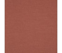 379 Aliya 1 Aliya Abricot 379 Aliya 1 Aliya Abricot