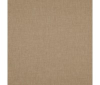 379 Aliya 15 Aliya Lion 379 Aliya 15 Aliya Lion