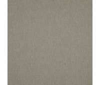 379 Aliya 16 Aliya Mushroom 379 Aliya 16 Aliya Mushroom