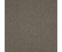 379 Aliya 3 Aliya Bison 379 Aliya 3 Aliya Bison