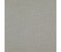 379 Aliya 34 Rise Mushroom 379 Aliya 34 Rise Mushroom