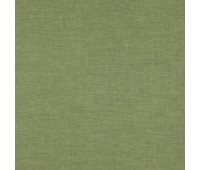 379 Aliya 6 Aliya Fern 379 Aliya 6 Aliya Fern