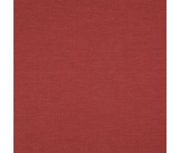 379 Aliya 7 Aliya Fire 379 Aliya 7 Aliya Fire