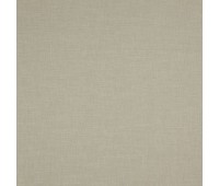 379 Aliya 9 Aliya Fossil 379 Aliya 9 Aliya Fossil