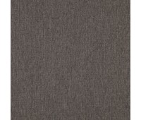 Bottom 06 Fossil Bottom 06 Fossil