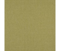 Bottom 09 Linden Bottom 09 Linden