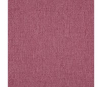 Bottom 12 Peony Bottom 12 Peony