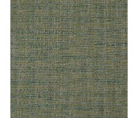 Claude 15 Lime Claude 15 Lime