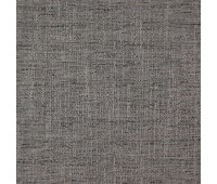 Claude 24 Shark Claude 24 Shark