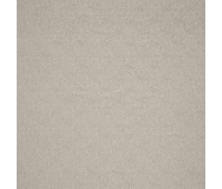 Distinct 19 Putty Distinct 19 Putty