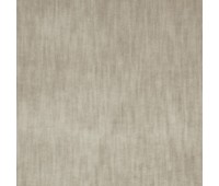 Even 15 Mushroom Even 15 Mushroom