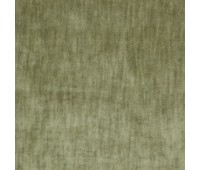 Even 24 Swamp Even 24 Swamp