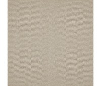 Explorer 36 Cream Explorer 36 Cream