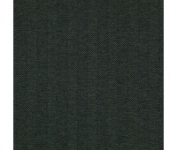 Explorer 38 Forest Explorer 38 Forest