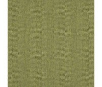 Explorer 43 Leaf Explorer 43 Leaf