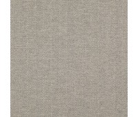 Explorer 49 Pebble Explorer 49 Pebble