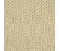 Explorer 50 Pistachio Explorer 50 Pistachio