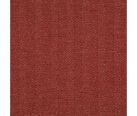 Explorer 56 Strawberry Explorer 56 Strawberry