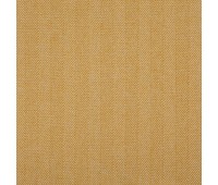 Explorer 57 Sunflower Explorer 57 Sunflower