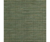 Flossy Silky 11 Dragon Flossy Silky 11 Dragon