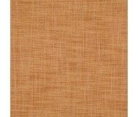 Grain 01 Amber Grain 01 Amber