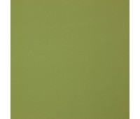 Indigo 29 Turtle Indigo 29 Turtle