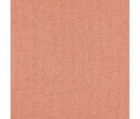 Lint 24 Canyon Lint 24 Canyon