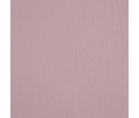 Mirandes 49 Lotus Mirandes 49 Lotus