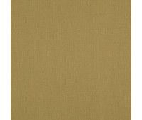 Mirandes 51 Mustard Mirandes 51 Mustard