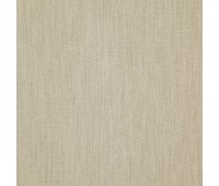 Sable 19 Platinum Sable 19 Platinum