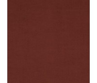 Shaggy 28 Auburn Shaggy 28 Auburn