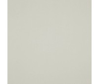 Shaggy 34 Ermine Shaggy 34 Ermine