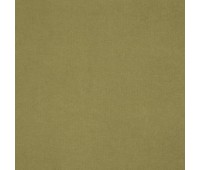 Shaggy 39 Palm Shaggy 39 Palm