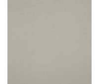 Shaggy 40 Pelican Shaggy 40 Pelican