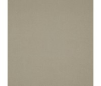 Shaggy 44 Rattan Shaggy 44 Rattan