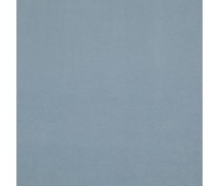 Shaggy 46 Sky Shaggy 46 Sky