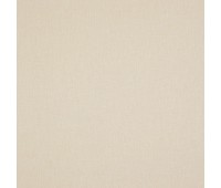 Speck 72 Ivory Speck 72 Ivory