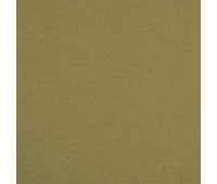 Stamina 34 Linden Stamina 34 Linden