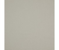 Stamina 42 Pearl Stamina 42 Pearl