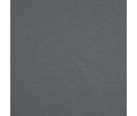 Stamina 49 Shark Stamina 49 Shark