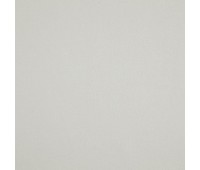 Stamina 51 Snow Stamina 51 Snow