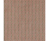 315 Neonelli 23 Riozzo Amber 315 Neonelli 23 Riozzo Amber