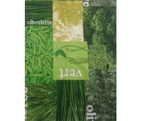 Ciboilette Ciboilette