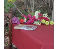 Dali Bordeaux Dali Bordeaux