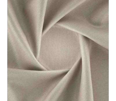 Shore dune