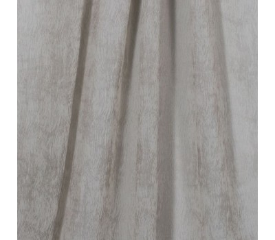Reed Seagrass