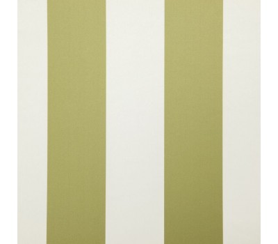 Amilly Olive