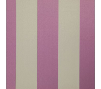 Amilly Plum