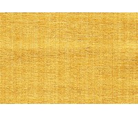 Casablanca Isabella 42 Casablanca Isabella 42