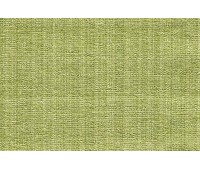 Casablanca Isabella 52